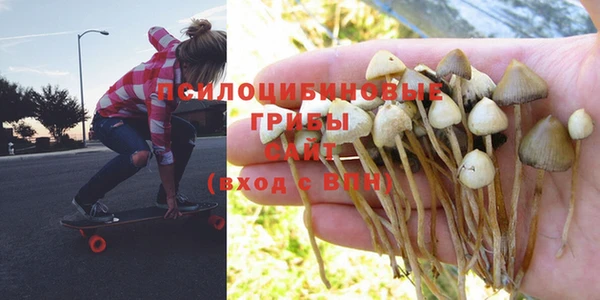 героин Каменногорск