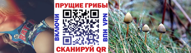Купить закладки  Искитим  Галлюциногенные грибы мухоморы 